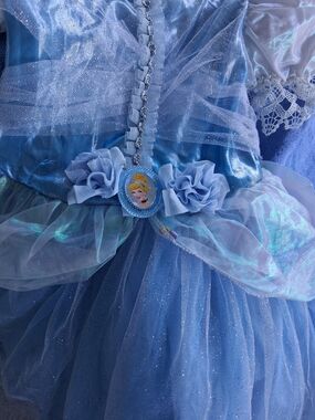 Blue Princess Tulle Dress with Character Pendant - Kids Costume